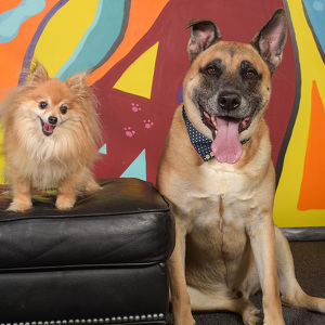 Fundraising Page: Jason Coker